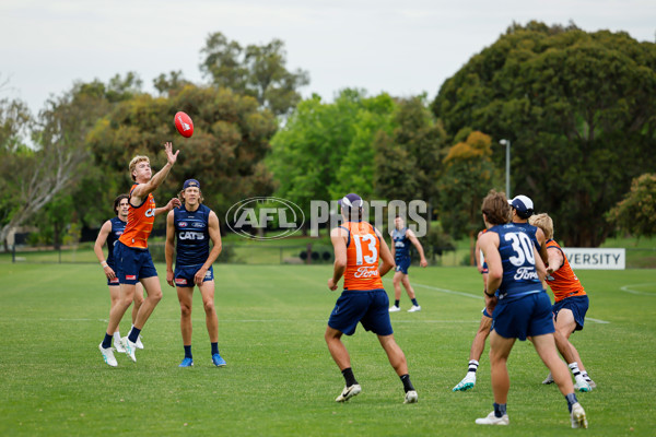 AFL 2024 Training - Geelong 061224 - A-56074823