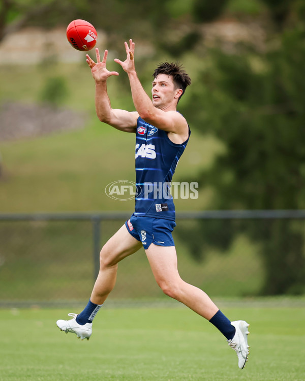 AFL 2024 Training - Geelong 061224 - A-56074825