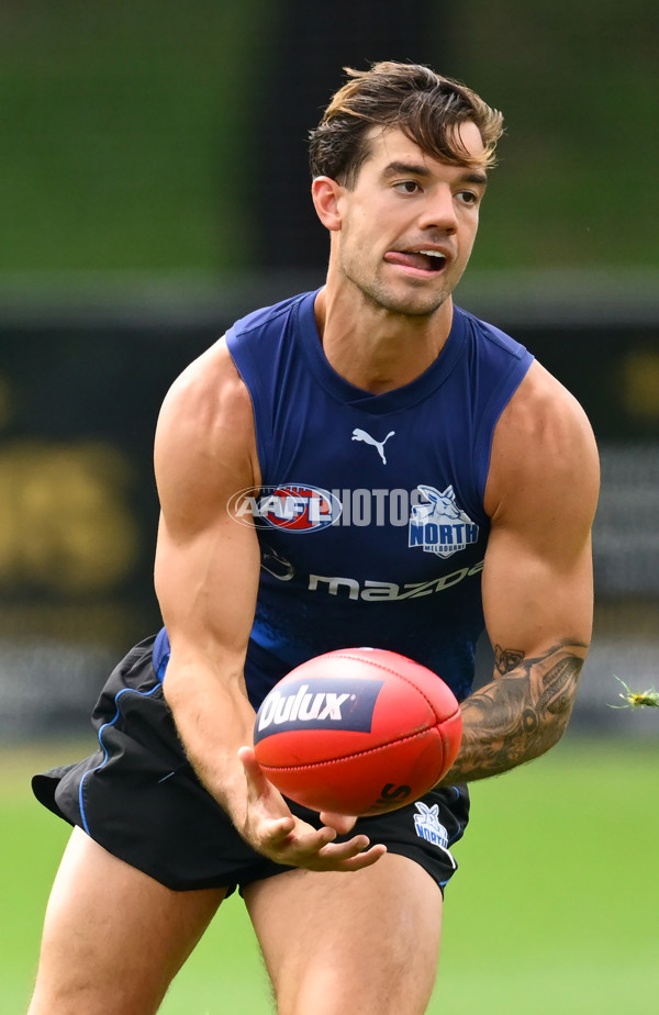 AFL 2024 Training - North Melbourne 091124 - A-56076204