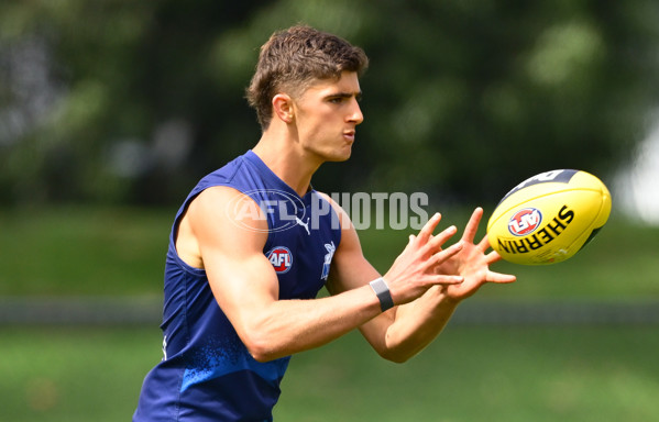 AFL 2024 Training - North Melbourne 091124 - A-56077393