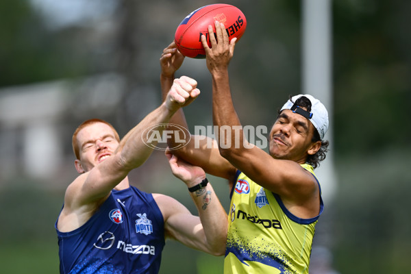 AFL 2024 Training - North Melbourne 091124 - A-56077395