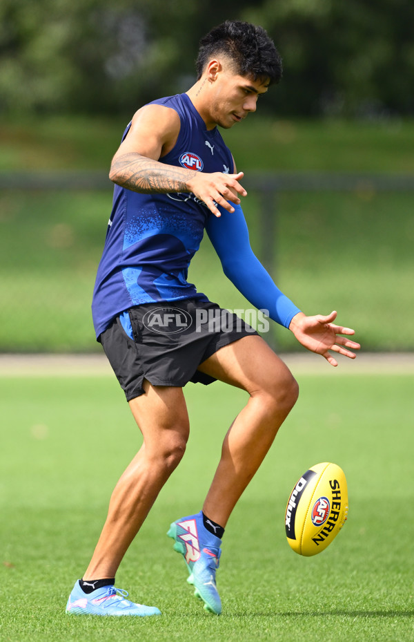 AFL 2024 Training - North Melbourne 091124 - A-56078534