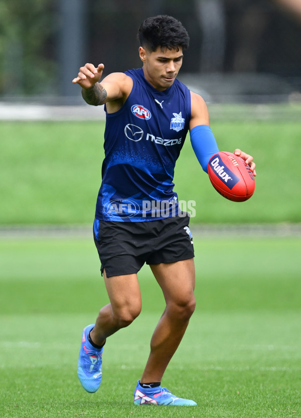 AFL 2024 Training - North Melbourne 091124 - A-56078535