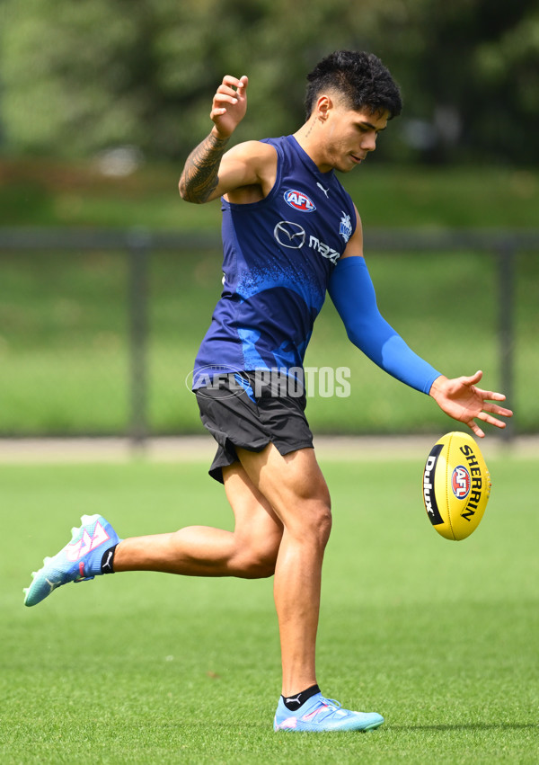 AFL 2024 Training - North Melbourne 091124 - A-56078537