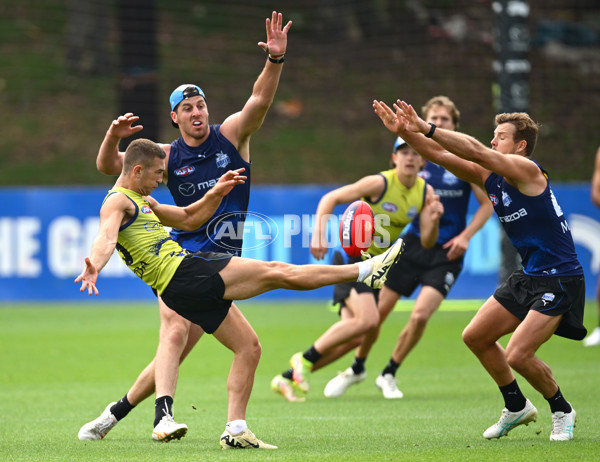 AFL 2024 Training - North Melbourne 091124 - A-56078562