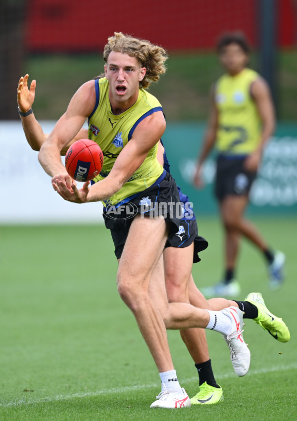 AFL 2024 Training - North Melbourne 091124 - A-56078567