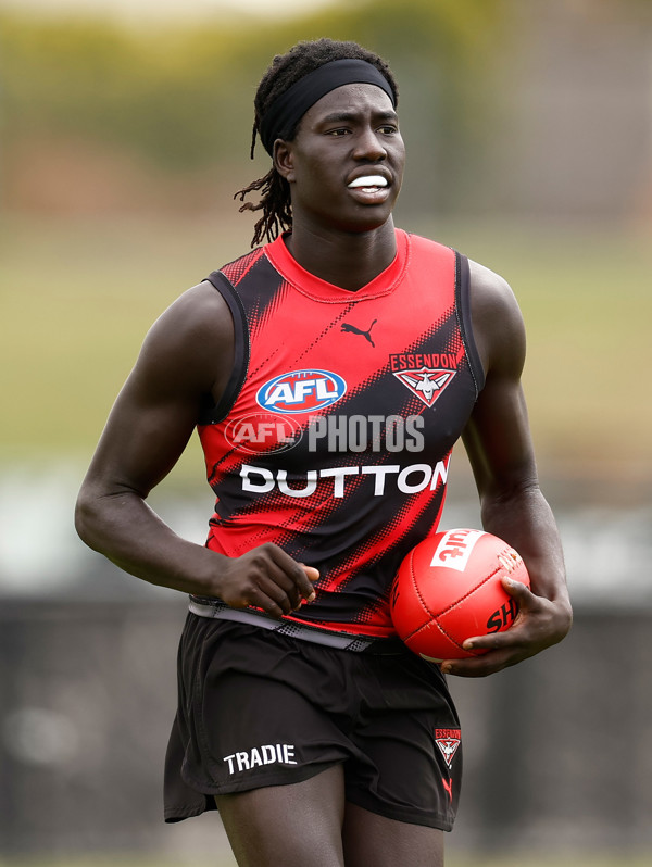 AFL 2025 Training - Essendon 160125 - A-56171024