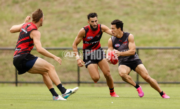 AFL 2025 Training - Essendon 160125 - A-56197729