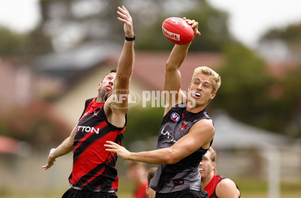 AFL 2025 Training - Essendon 160125 - A-56197735