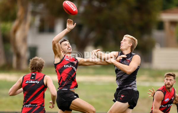 AFL 2025 Training - Essendon 160125 - A-56197763