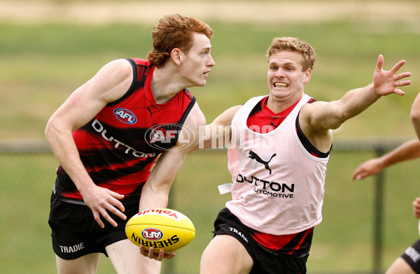 AFL 2025 Training - Essendon 160125 - A-56198649