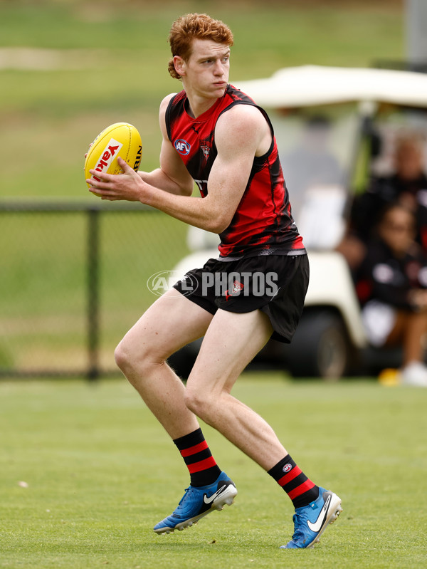 AFL 2025 Training - Essendon 160125 - A-56198652