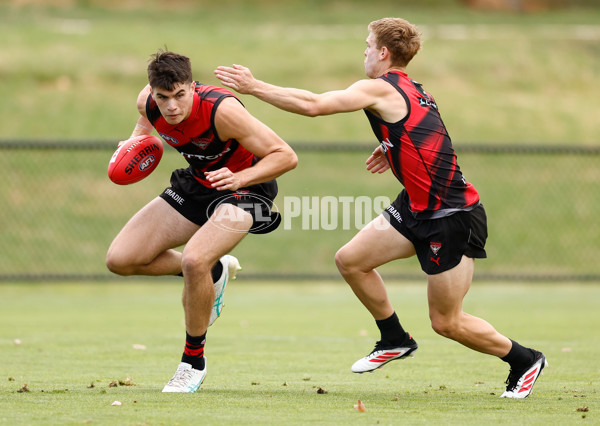 AFL 2025 Training - Essendon 160125 - A-56200179