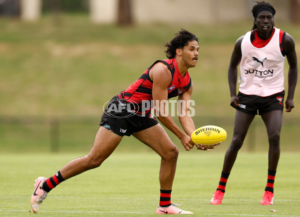 AFL 2025 Training - Essendon 160125 - A-56200193