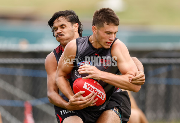 AFL 2025 Training - Essendon 160125 - A-56200198