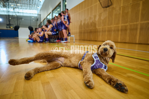 AFL 2025 Media - Fremantle Team Photo Day - A-56204683