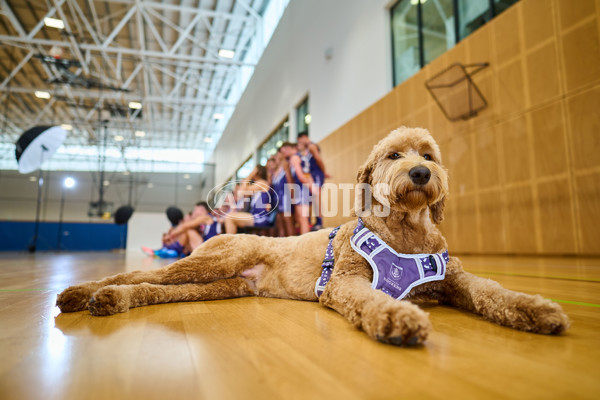 AFL 2025 Media - Fremantle Team Photo Day - A-56204685