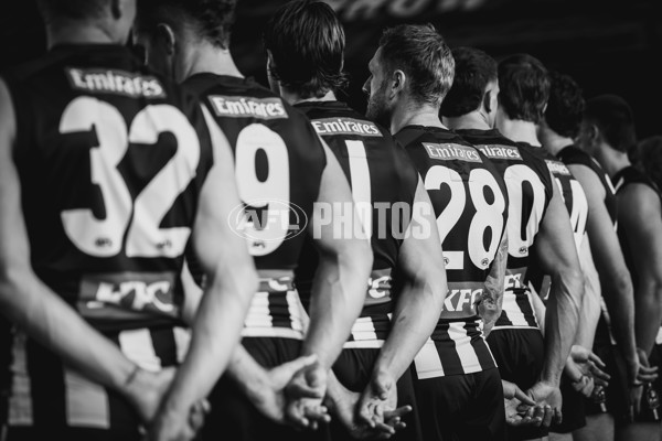 AFL 2025 Media - Collingwood Team Photo Day - A-56857923