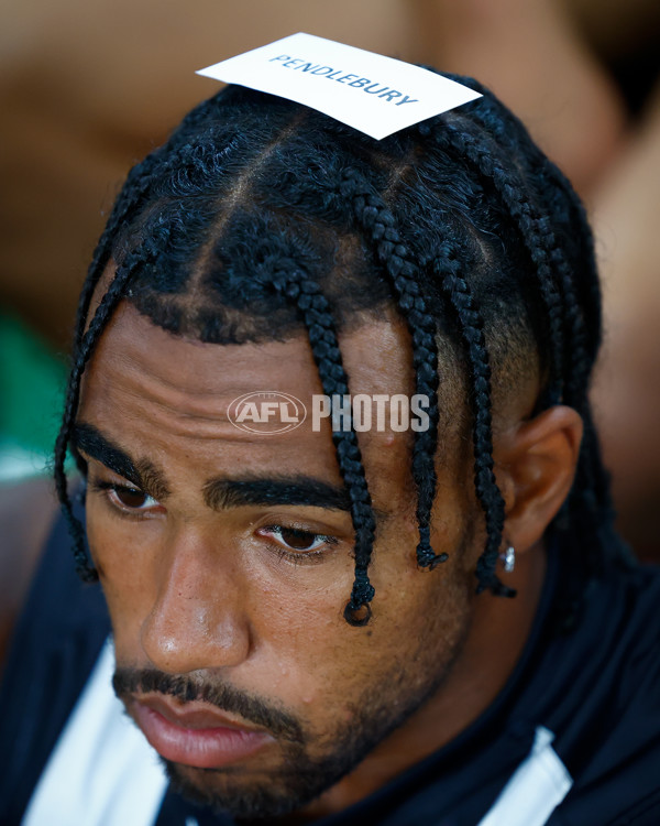 AFL 2025 Media - Collingwood Team Photo Day - A-56858809