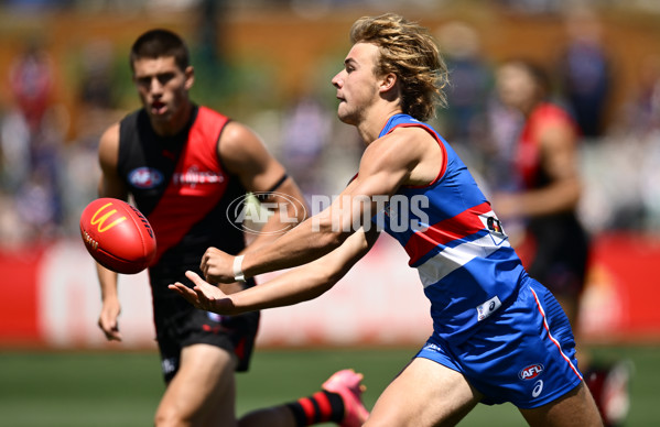 AFL 2025 Match Simulation - Western Bulldogs v Essendon - A-57459705