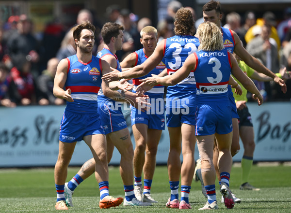 AFL 2025 Match Simulation - Western Bulldogs v Essendon - A-57465584