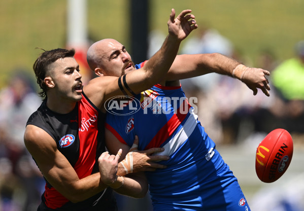 AFL 2025 Match Simulation - Western Bulldogs v Essendon - A-57465589