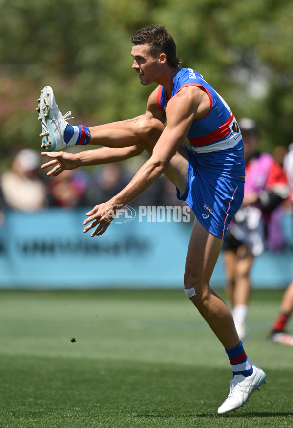 AFL 2025 Match Simulation - Western Bulldogs v Essendon - A-57465594