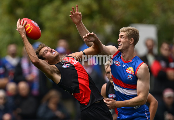 AFL 2025 Match Simulation - Western Bulldogs v Essendon - A-57465599