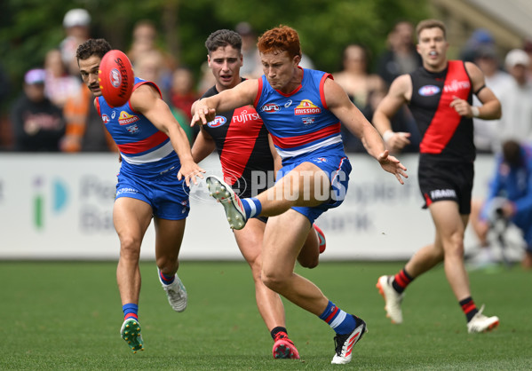 AFL 2025 Match Simulation - Western Bulldogs v Essendon - A-57465602