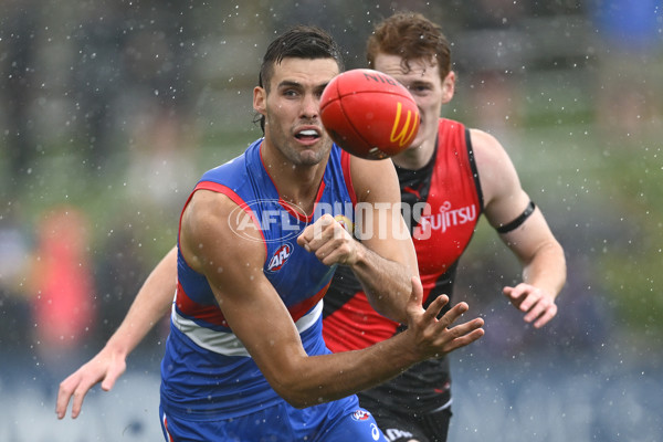 AFL 2025 Match Simulation - Western Bulldogs v Essendon - A-57465611