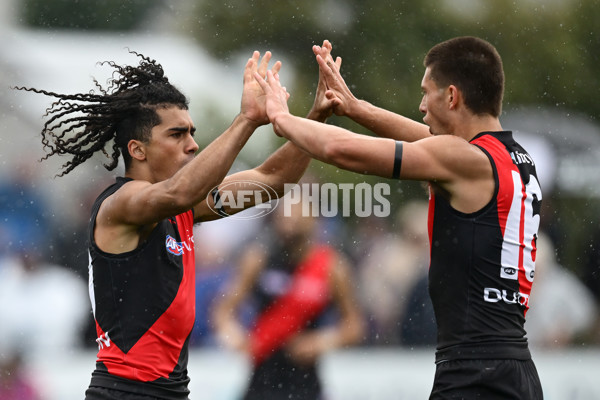 AFL 2025 Match Simulation - Western Bulldogs v Essendon - A-57465616