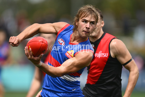 AFL 2025 Match Simulation - Western Bulldogs v Essendon - A-57465622