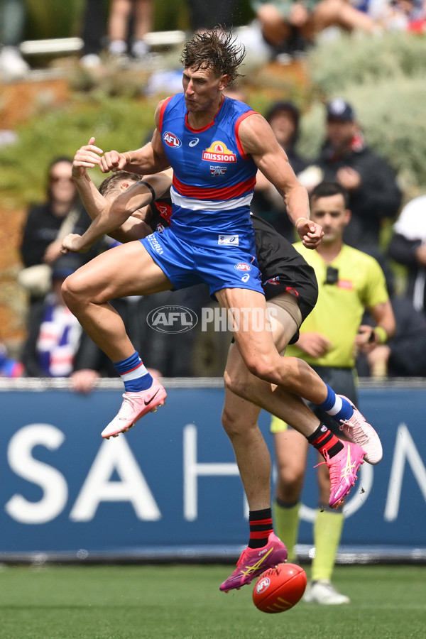 AFL 2025 Match Simulation - Western Bulldogs v Essendon - A-57465624