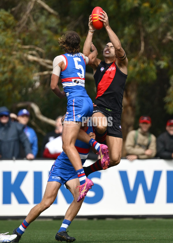 AFL 2025 Match Simulation - Western Bulldogs v Essendon - A-57465633