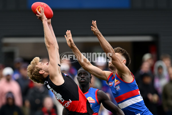 AFL 2025 Match Simulation - Western Bulldogs v Essendon - A-57465644