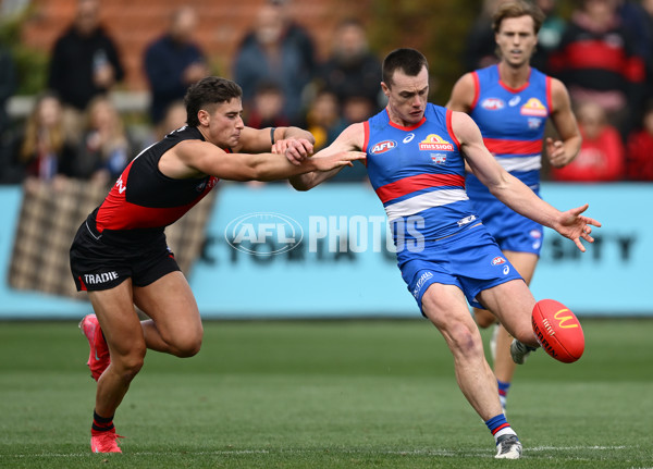 AFL 2025 Match Simulation - Western Bulldogs v Essendon - A-57465651