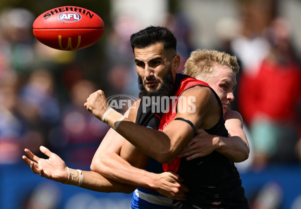 AFL 2025 Match Simulation - Western Bulldogs v Essendon - A-57465652