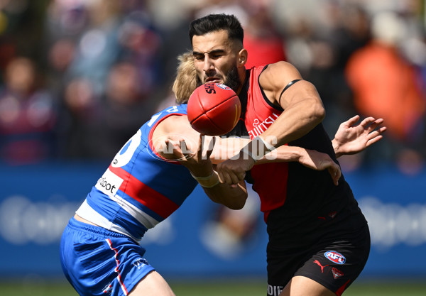 AFL 2025 Match Simulation - Western Bulldogs v Essendon - A-57465654