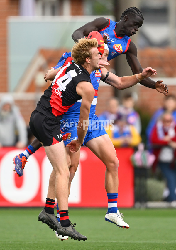 AFL 2025 Match Simulation - Western Bulldogs v Essendon - A-57465663