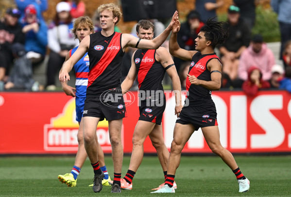 AFL 2025 Match Simulation - Western Bulldogs v Essendon - A-57465665