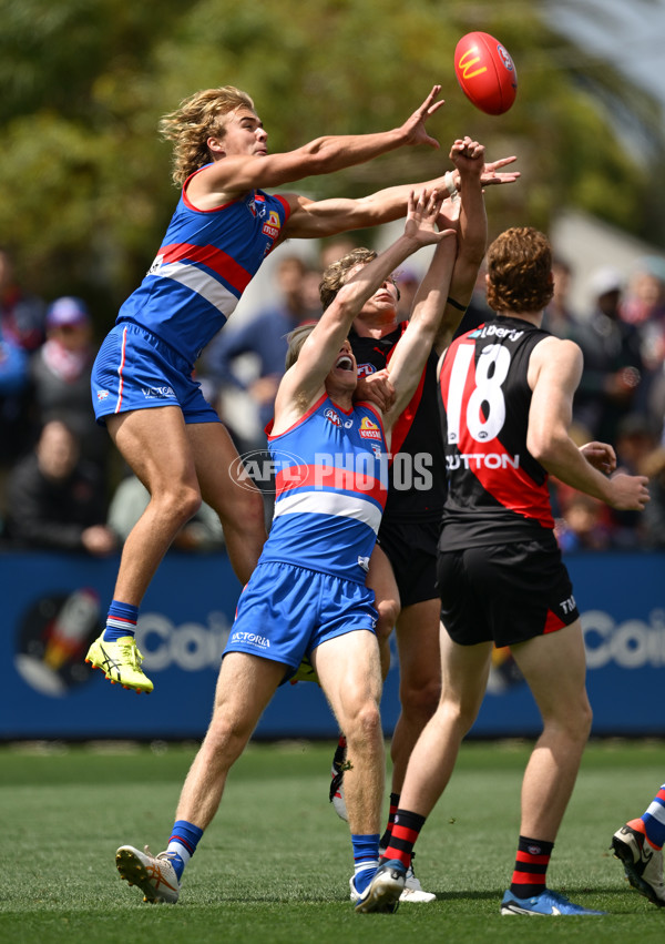 AFL 2025 Match Simulation - Western Bulldogs v Essendon - A-57470114