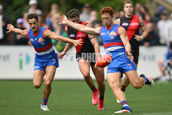 AFL 2025 Match Simulation - Western Bulldogs v Essendon - A-57470117