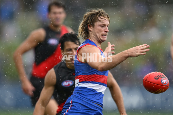 AFL 2025 Match Simulation - Western Bulldogs v Essendon - A-57470134