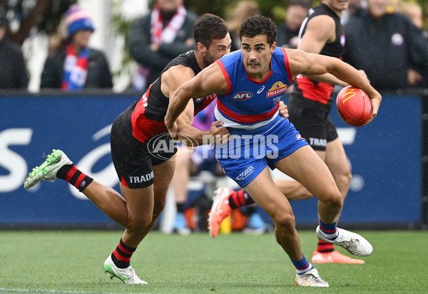 AFL 2025 Match Simulation - Western Bulldogs v Essendon - A-57470136