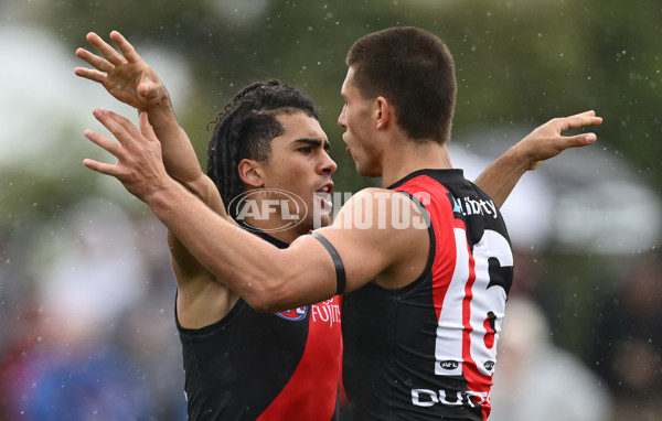 AFL 2025 Match Simulation - Western Bulldogs v Essendon - A-57470140