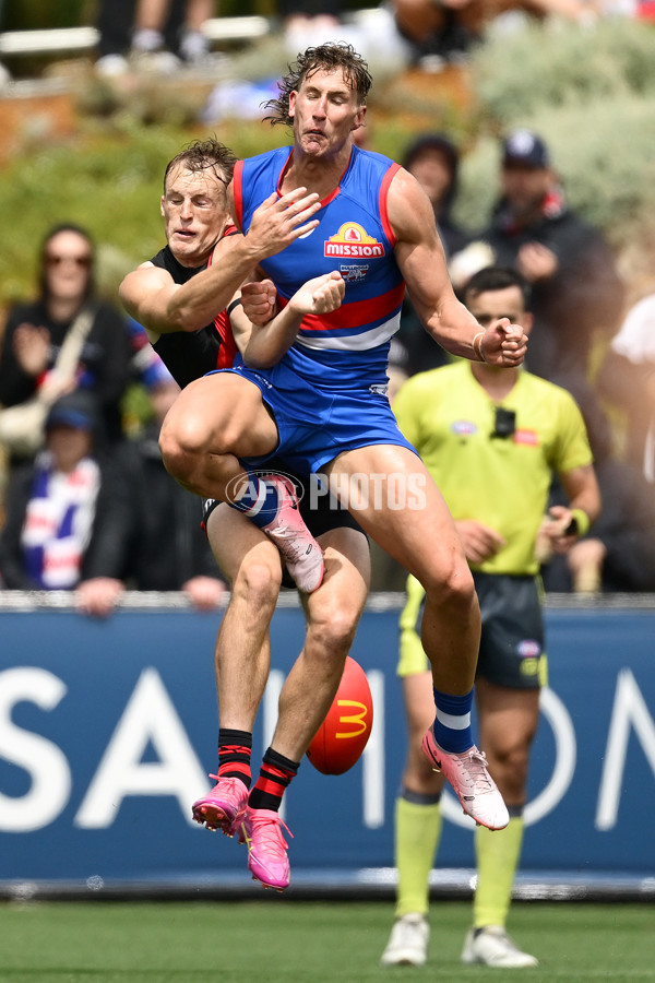 AFL 2025 Match Simulation - Western Bulldogs v Essendon - A-57470143