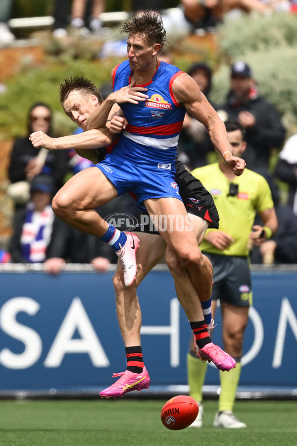 AFL 2025 Match Simulation - Western Bulldogs v Essendon - A-57470144