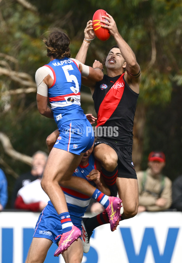 AFL 2025 Match Simulation - Western Bulldogs v Essendon - A-57470160