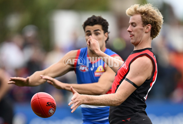 AFL 2025 Match Simulation - Western Bulldogs v Essendon - A-57470173