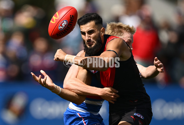 AFL 2025 Match Simulation - Western Bulldogs v Essendon - A-57470176